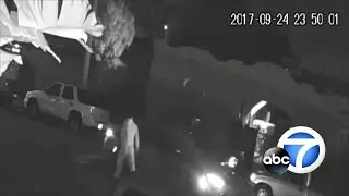 Woman's kidnapping off the street caught on camera