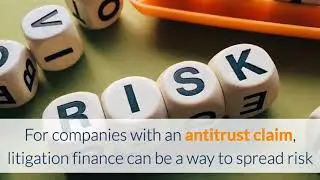 Litigation Finance and Antitrust Litigation
