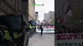Free Palestine  all protest is for free Palestine #protest #freeplastine  #foryou #youtubeshorts