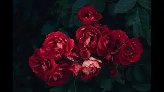 O Bah&aacute;&rsquo;u&rsquo;ll&aacute;h , (World Congress Choir)