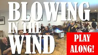Blowing In The Wind - Bob Dylan - Ukulele Play Along (4 chords D G A Bm)