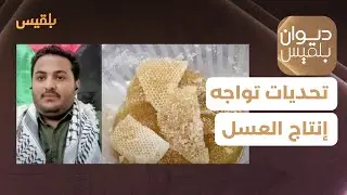 موسم جني العسل.. ما التحديات التي تواجه الإنتاج؟ مع النحال عبد الجبار الغولي