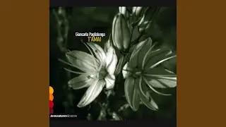 T'amai