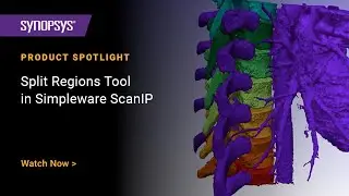 Split Regions Tool in Simpleware ScanIP S-2021.06