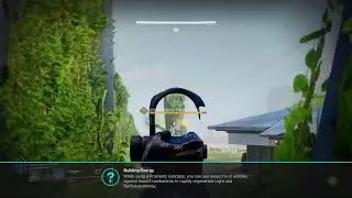 D2 Ricky Bobby mode