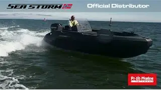 SEASTORM BOATS - Official dealer in Estonia. #promarinetrade.com