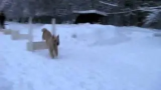тренировка 03.01.2011