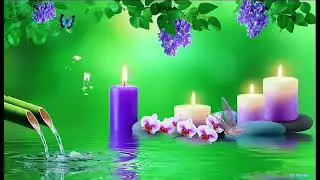 Deep Spa Relaxing Music for Yoga, Spa & Massage | Gentle Music for Deep Breathing & Relaxation