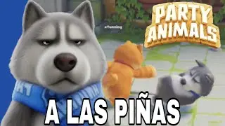 Nos agarramos A LAS PI&Ntilde;AS | PARTY ANIMALS