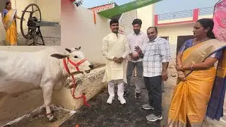 India Desi Cow Breeds | गोपाष्टमी के शुभ अवसर पर मिला प्यार और सम्मान | बेटे बहू को देख माँ की खुशी