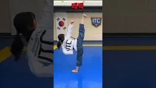 Taebaek Poomsae | Taekwondo #shorts