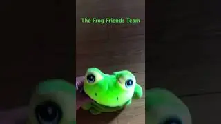 Every Frog Friend Left The Frog Friends Team