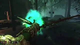 River Reik Vermintide Cataclysm Guide (1.11 Update)