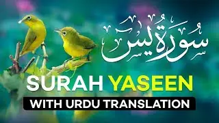 Surah Yasin ( Yaseen ) with Urdu Translation | Quran With Hindi Tarjuma Beautiful Voice Episode 30