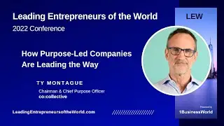 How Purpose-Led Companies Are Leading the Way | Ty Montague