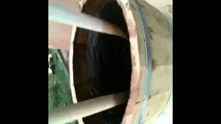 Biodynamisation