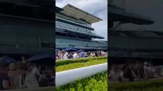 Randwick Racecourse 2022 post pandemic lockdown #sydney