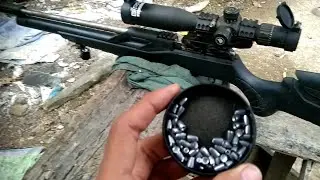 LONG RANGE 14 GR SLUG BIG HOLLO GREYHOUND T-REX🔥