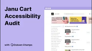Janucart.net Accessibility Audit