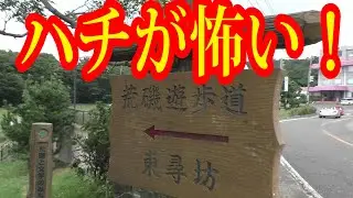 三国港駅から“東尋坊”まで歩いてみた！