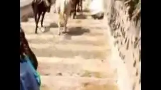 Kunio Noji : Komatsu Shanghai Linghua Logistics Co - Osaka Plant Donkey Forum
