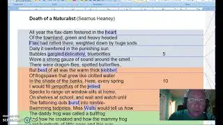 Heaney: Death of a Naturalist critical analysis