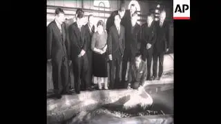 CAN196 ASWAN DAM MODEL AND CONSTRUCTION