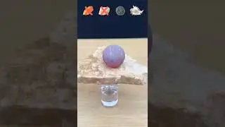 Unique Experiment Video