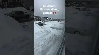 Snowy morning in St. John's, Newfoundland, Canada