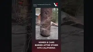 Homes & Cars Buried After Fierce Storm Hits California | Rescue Operation Underway | VERTEX