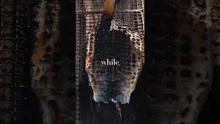 Grilled Branzino with Shishito Chimichurri #sushi #sushichef
