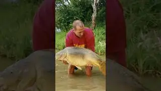 South African gold 🇿🇦 Crowy&rsquo;s most memorable trip #carp #carpangler #Podcast #Legend #carpfishing