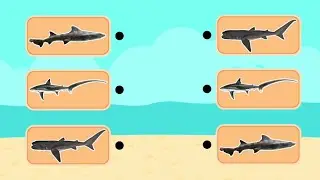 kids games|kids videos|best brain games app|brain games|apps for education|educational learning