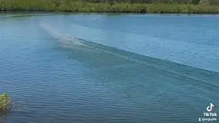 Spirit of Air Force 1/8 scale hydroplane Nitro 