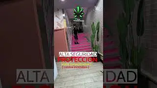 Escaleras LED - Decoraci&oacute;n (GLED Entretenimiento)