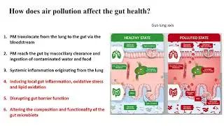 how does air pollution affect the gut health