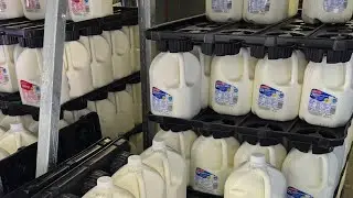 Comparing prices of grocery staples at Walmart, Aldi, Kroger and Meijer