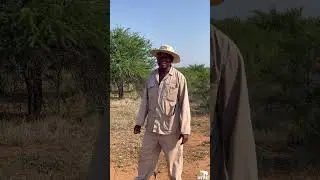 Elephant Carers, Baboons & Those Fruit Trees! A Carers&rsquo; Tale 🌳