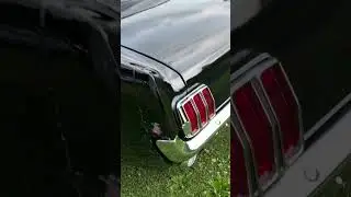 Ford Mustang 1966 289