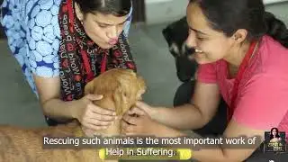 Know more about Help in Suffering.