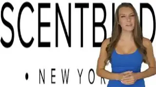 Scentbird USA  - Scentbird Vs Scentbox Reviews