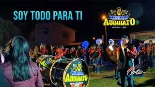 Mix Flor Pileña - Viscachita / Gran Banda Melodías AUQUIATO / Mix Huaynos