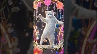 Cat Dance Video। 👌Cute Cat Whatsapp status video &lrm;⁨@Tales_Zoo⁩&nbsp; #Shorts #Reels #cat #billi
