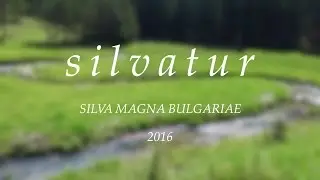 Silva magna bulgariae | Silvatur