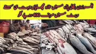 Fish Market Buffer Zone North Nazimabad | Karachi Fish Market | Bangali Para Buffer Zone Fish Market