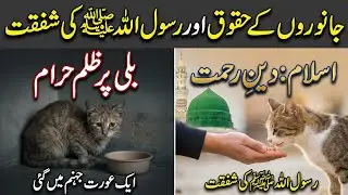Rights of Animals in Islam | Rasool Allah ﷺ Ki Janwaron Par Shafqat
