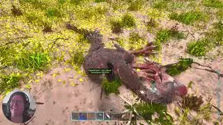 ARK: Ragnarok Pt 13: Imprinting they grow up so fast! #videogames #arksurvivalascended @jimster84