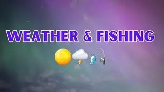 How does weather affect fishing?