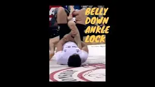 Roger Gracie Ankle Lock vs Shinya Aoki ADCC 2005