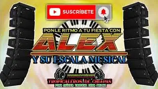 Mix Alex y su escala musical